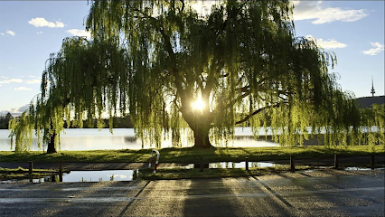 My Willow Care-Beltsville