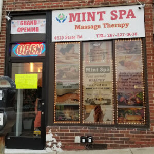 Mint Spa-Drexel Hill