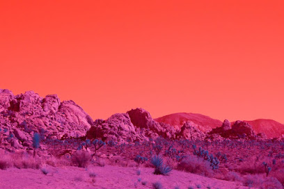 Blushing Yucca Esthetics-Alamogordo