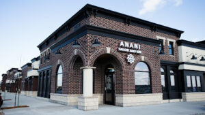 Anani Salon & Spa-Ankeny