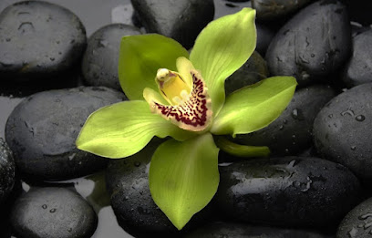 Green Orchid Massage and Skin Therapy-Wareham