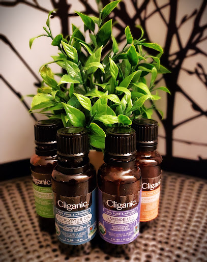 Harmonistic Massage Therapy-Fairfield