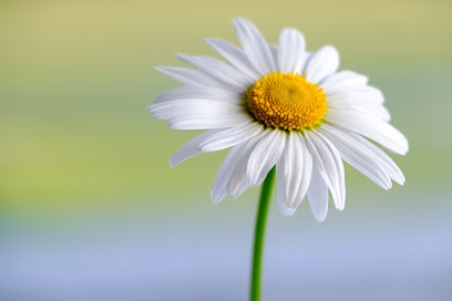 Massage Grace-Glenview