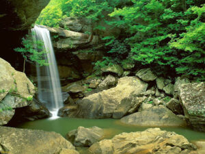 Susan Tucker Massage Therapy-Holly Springs