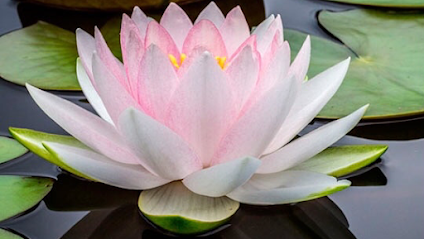 A Moment in Time Massage and Reiki-Minden